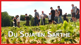 Du Soja en Sarthe !