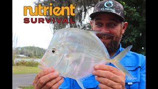 MOONFISH aka Look Down catch and cook with Nutrient Survival and some Redfish Action