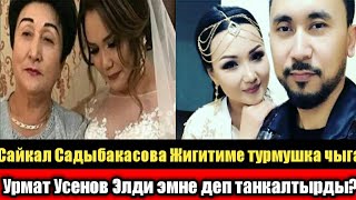 Сайкал Садыбакасова:Жигитиме турмушка чыгам деди! Урмат Усенов:Неляны Кыйын кыз экенсин деди!