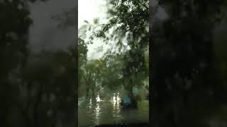 rain in Houston #nature #rain #rainsounds #reels #asmr #calming