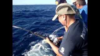 Searcher Sportfishing - 35lb Bluefin Tuna