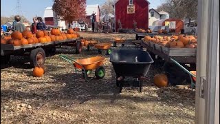 Relaxing Pumpkin Patch Walk and Hayride