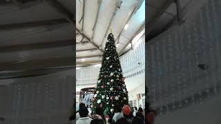 Encendido del árbol de Navidad, Plaza Patio Mérida.