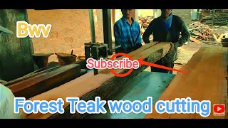 forest teak wood logs high in demand // quality of premium forest teak #sawmill #india @SMWChanel