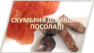 СКУМБРИЯ ДОМАШНЕГО ПОСОЛА