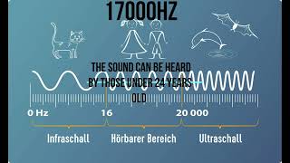 17000 Hz - the sound can be heard by those under 24 years old