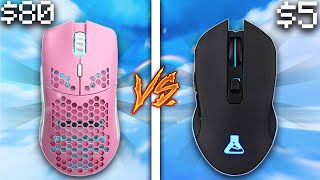 $5 Mouse Vs $80 Mouse | Minecraft PvP