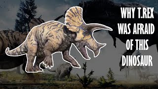 Triceratops | A look at an icon