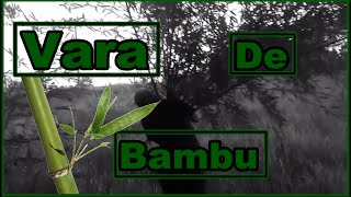 Vara de bambu (Vlog Da Pesca)