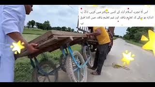 Without Shopkeeper Mango Stall Experiment In Pakistan | Camera Stall Mangoes Buy Experiment | React