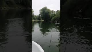 #river #fishing #relaxing #spinning