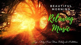 Beautiful Morning Relaxing Music :Spa , Study Music Stress Relief And Meditation