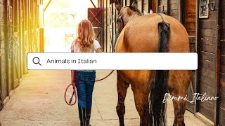 Discover Animals in Italian | Italian for Beginner