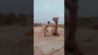 #crazy #viral #shorts #villagelife #thar #people #brave #millionviews