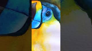 Toucan Bird #watercolorpainting  #shortsvideo