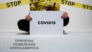 Причины появления Коронавируса | Вирус с точки зрения энергии | Что делать?