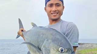 Spearfishing Sabang Giant Trevelly,Sensasi tarikannya