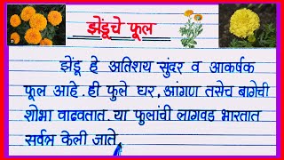 झेंडू फुलांची माहिती मराठी / Zendu Fulanchi Mahiti Marathi / माझे आवडते फूल झेंडू निबंध/ झेंडू निबंध