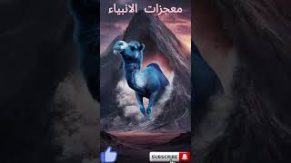 معجزات الانبياء عليهم السلام . صلوا عليهم اجمعين#اكسبلور  #قصص#shorts