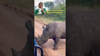 I Stood My Ground Against a Rhino