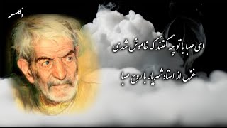 Persian Poetry (ای صبا با تو چه گفتند که خاموش شدی) دکلمه شعراستاد شهریار