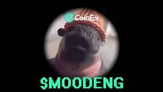 Are we in #MOODENG season now? 🦛