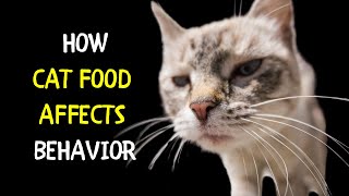 How Cat Food Affects Your Cat's Behavior | Impact of Random Foods on Cat Behavior