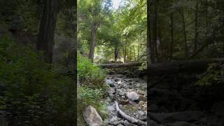 LOVE Millard Canyon Falls Trail!