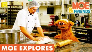 Moe Explores a Bakery | Learn How to Make Scones | Baking for Kids