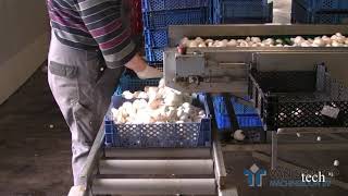 See how mushroom production factory machines work. Mushroom farming technology