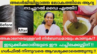 ഡൈ അടിച്ച് ഇനിയാരും 'ഡൈ' ആവേണ്ട ;ഇതാ പാർശ്വ ഫലങ്ങളില്ലാത്ത പ്രകൃതി ദത്തമായ ഹെയർ ഡൈ !!|MalluMagellan