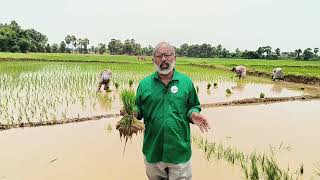 Nature based farming through the students