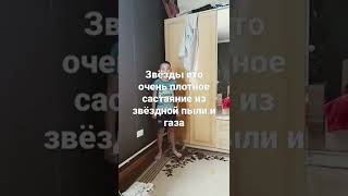 Звёзды что ето