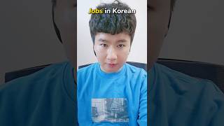 Jobs in Korean #korea #korean #learningkorean #studykorean #koreanslang #learningkoreanlanguage