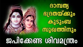 ദാമ്പത്യ ഭദ്രതയ്ക്കും കുടുംബ സുഖത്തിനും ജപിക്കേണ്ട ശിവ മന്ത്രം | 27 തവണ  ജപിക്കുക - shiva mantra