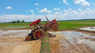 👎Bad performance of Mahindra 575 di xp plus 🚜🚜// মাহিন্দা 575 di