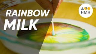 Milk Soap Rainbow Experiment | 90-Second Science