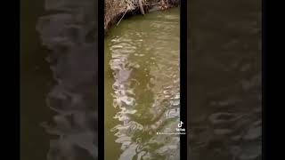 Ohios water is not safe #us #news #biden #russia #war #china #tiktok #media