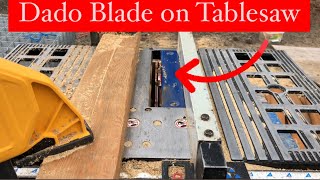 How to Cut a Dado with a Table Saw - Columbia River Handyman