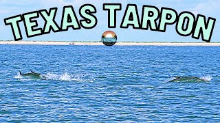 Texas Tarpon | See it to BELIEVE it!!