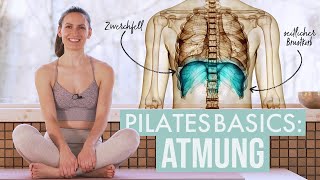 Wie atme ich richtig beim Pilates? 🌬️Pilates Basics | Mit Übungen zum Ausprobieren