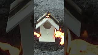 LAVA vs Birdhouse