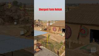 Shergard farm Rohtak - rohtak Shergard farm