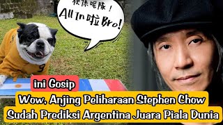 📽️Wow, Anjing Peliharaan Stephen Chow Sudah Prediksi Argentina Juara Piala Dunia