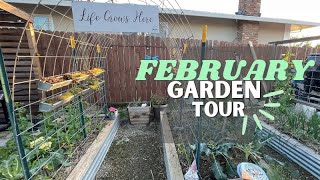 FEBRUARY GARDENING // Zone 9b / Winter Garden Tour 2023