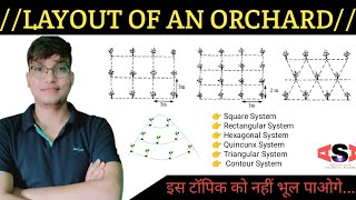 Planting System Of Orchard// Layout of an Orchard// वाह मजा आ गया..🔥