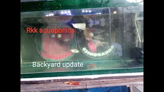 Rkk Aquaponics Backyard Update December 2,2020