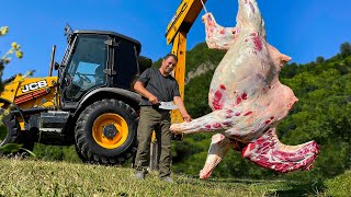 Chef Tavakkul Cooks a Giant Camel! Grand Gourmet Meat Lovers Dish Cooked in the Wilderness