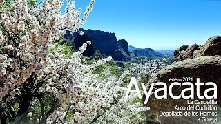 ALMENDROS EN FLOR. La Candelilla, ARCO CUCHILLÓN (enero 2021) #GranCanaria #Ayacata #Candelilla