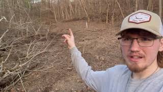 Building a food plot on 10 acres